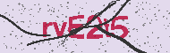 Codice captcha