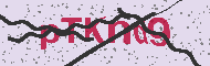 Codice captcha
